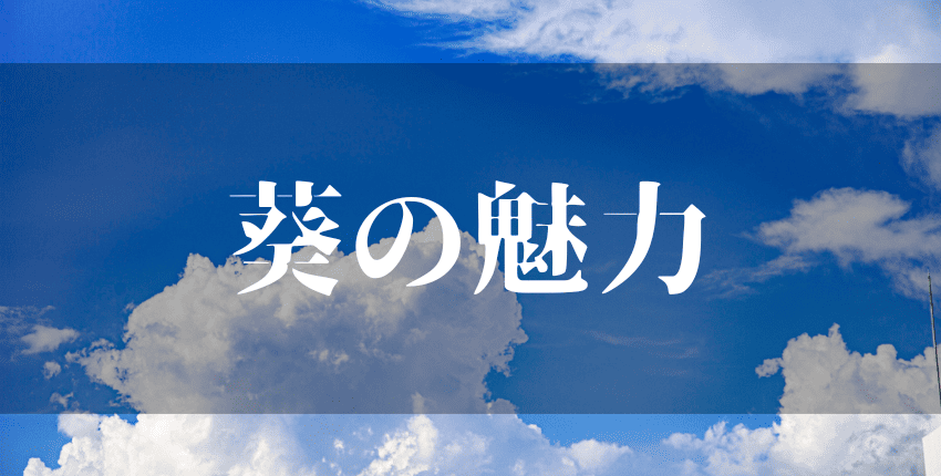 『葵』は名前に使うと良くない8つの理由|野心・不遜・傲慢の意味を持つから