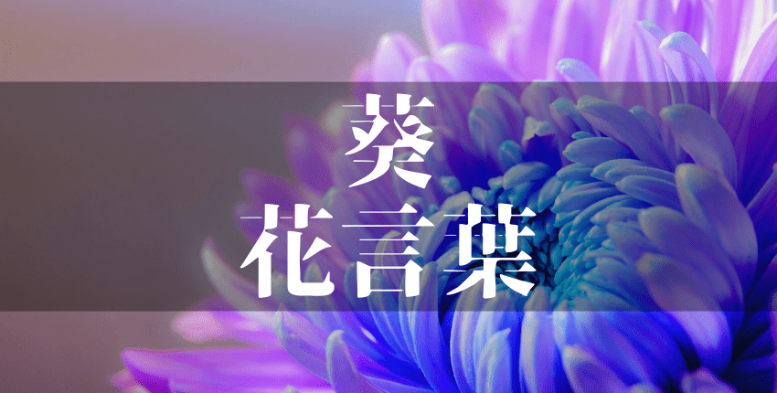 『葵』は名前に使うと良くない8つの理由|野心・不遜・傲慢の意味を持つから