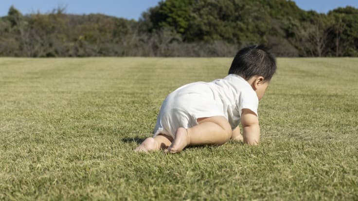 「寿」漢字の基本情報を解説します。