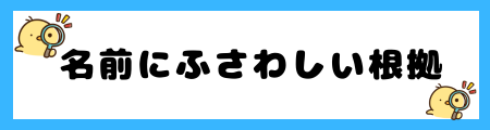 名前に「圭」を使うとよくない2つの噂とは｜性格や運命に影響？