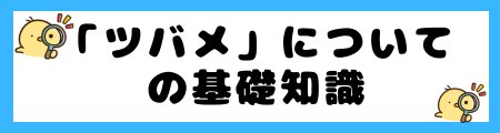 【ツバメ】渡りの理由:ルート、時期、そして生き抜くための戦略は?
