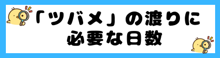【ツバメ】渡りの理由:ルート、時期、そして生き抜くための戦略は?
