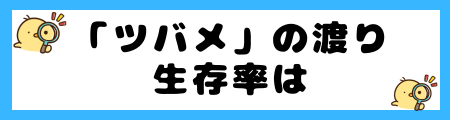 【ツバメ】渡りの理由:ルート、時期、そして生き抜くための戦略は?