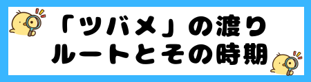 【ツバメ】渡りの理由:ルート、時期、そして生き抜くための戦略は?
