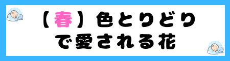 季節によって選ぶ、愛らしい女の子の名前にぴったりな花の名前