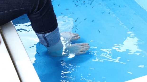 ドクターフィッシュで足の角質と臭いを解消できるのか詳しく解説