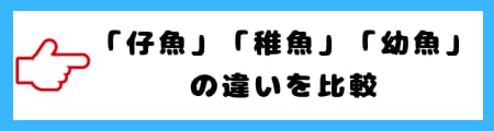 「仔魚」「稚魚」「幼魚」の違いとは?初心者向けにわかりやすく解説!