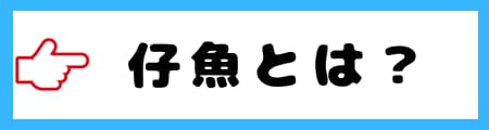 「仔魚」「稚魚」「幼魚」の違いとは？初心者向けにわかりやすく解説！