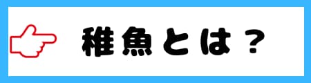 「仔魚」「稚魚」「幼魚」の違いとは？初心者向けにわかりやすく解説！